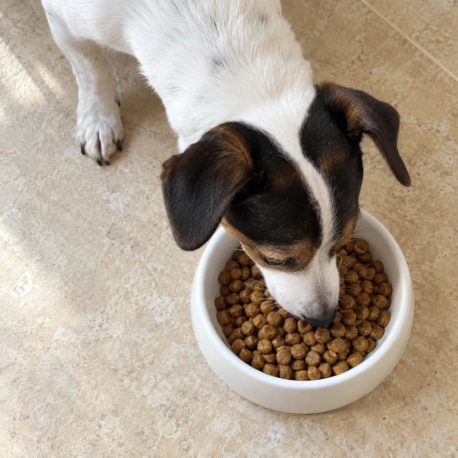 Lack of microbiome variety: