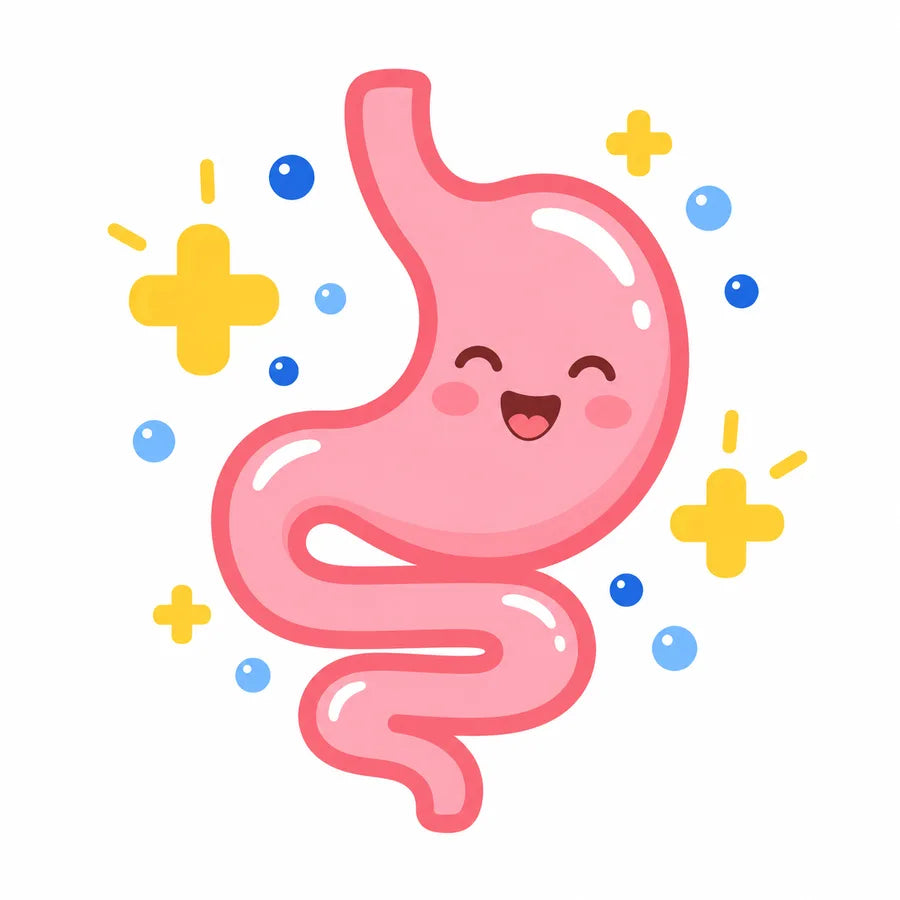 Rebalances the Gut
