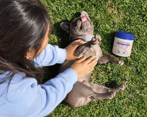 Woofs Probiotic Chews