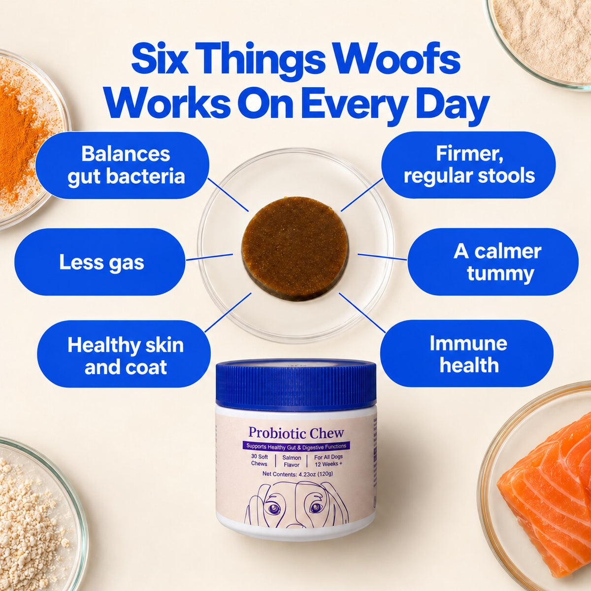 Six things Woofs works on every day