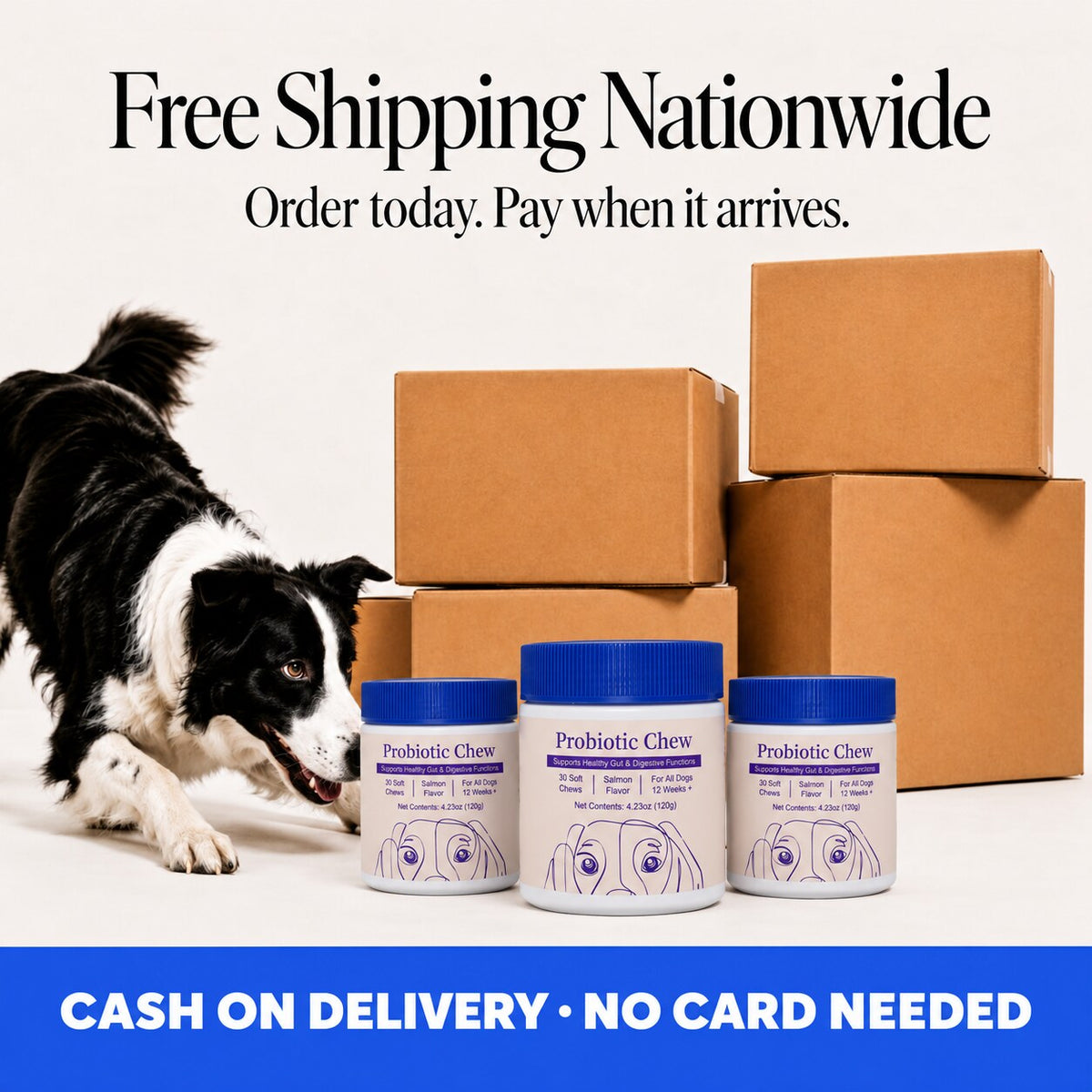 Free shipping nationwide, pay when it arrives