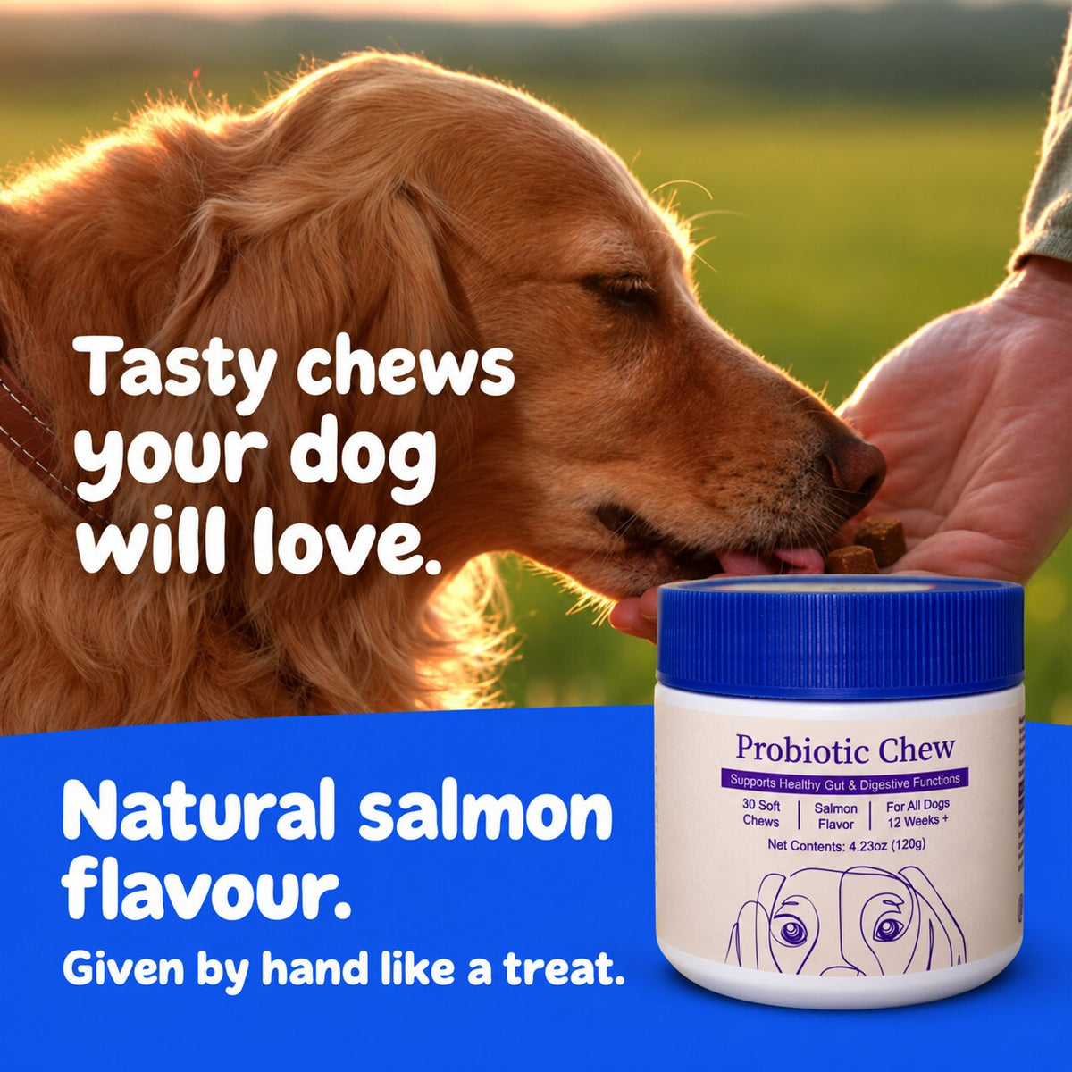Tasty salmon-flavour chews given by hand