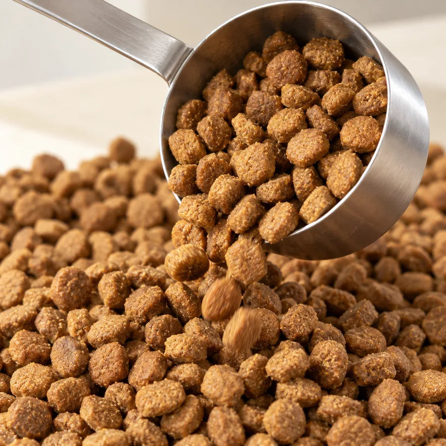 Processed kibble and treats: