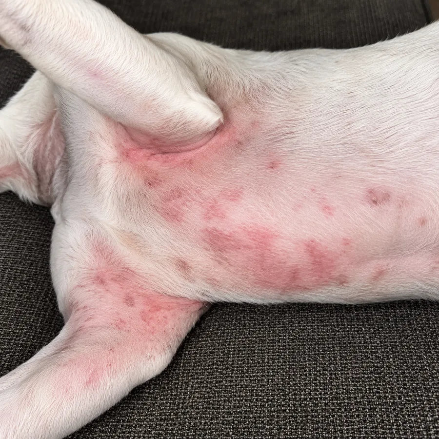 Red, irritated skin